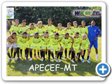 97-APECEF-MT