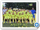 99-APECEF-MT
